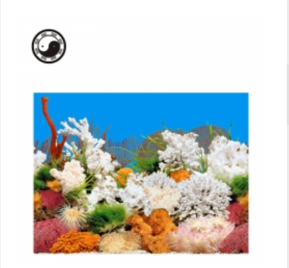 自然水族单面薄画9029白珊瑚背景画