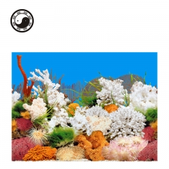 21自然水族9029白珊瑚 单面背景画(薄画) 30CM